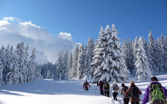 randonnée montagne hiver adultes