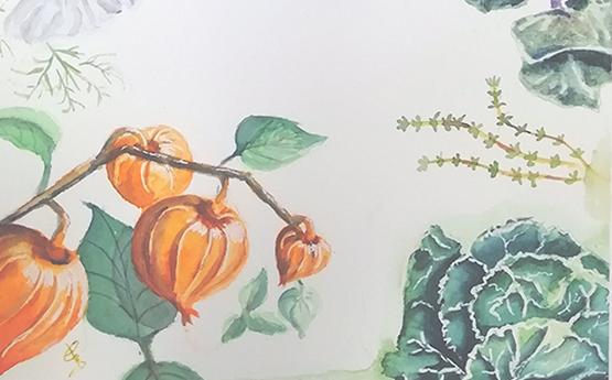 aquarelle adulte polyedre seynod