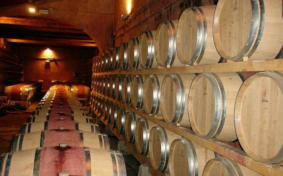 vin oenologie stage polyedre seynod
