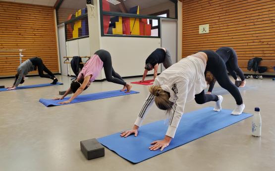 yoga vinyasa polyedre seynod
