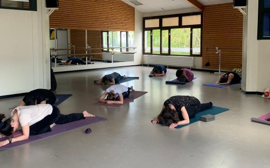 cours yin yang yoga polyèdre seynod annecy