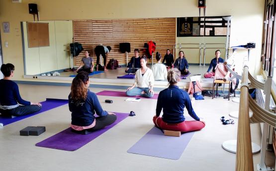 cours yoga vinyasa polyedre seynod annecy