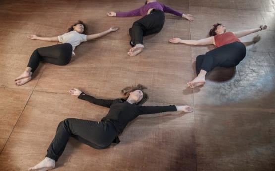 feldenkrais polyèdre seynod annecy