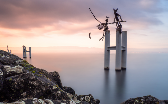 photographie bois flotté évian de Ph Jeandin