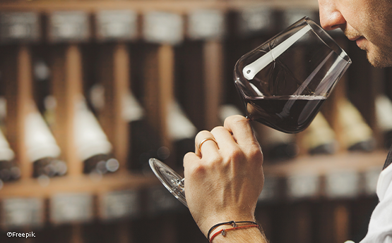 verre de vin dans une main d'homme dégustation polyèdre seynod annecy