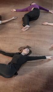 feldenkrais polyèdre seynod annecy