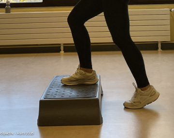femme qui fait du step polyèdre seynod annecy